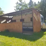 Mandel Палознак