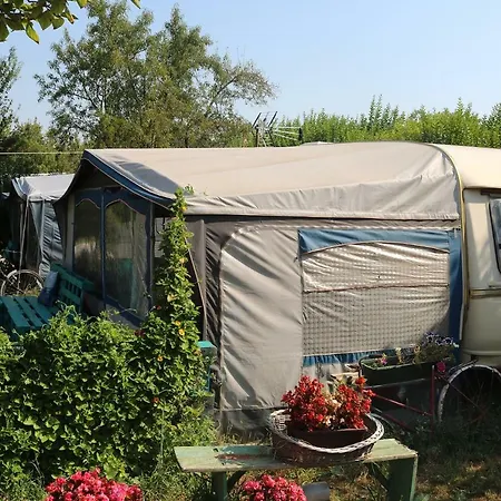Mandel Camping
